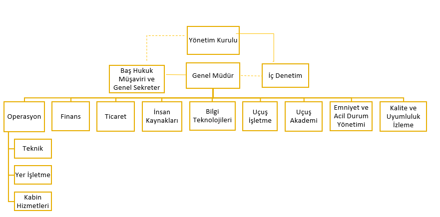 Organizasyon Şeması